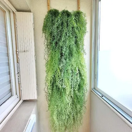 24m² - Hopitaux Facultes Centre * Montpellier