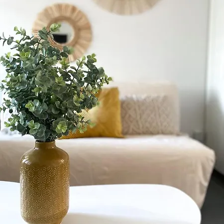 Apartamento 24m² - Hôpitaux Facultés Centre